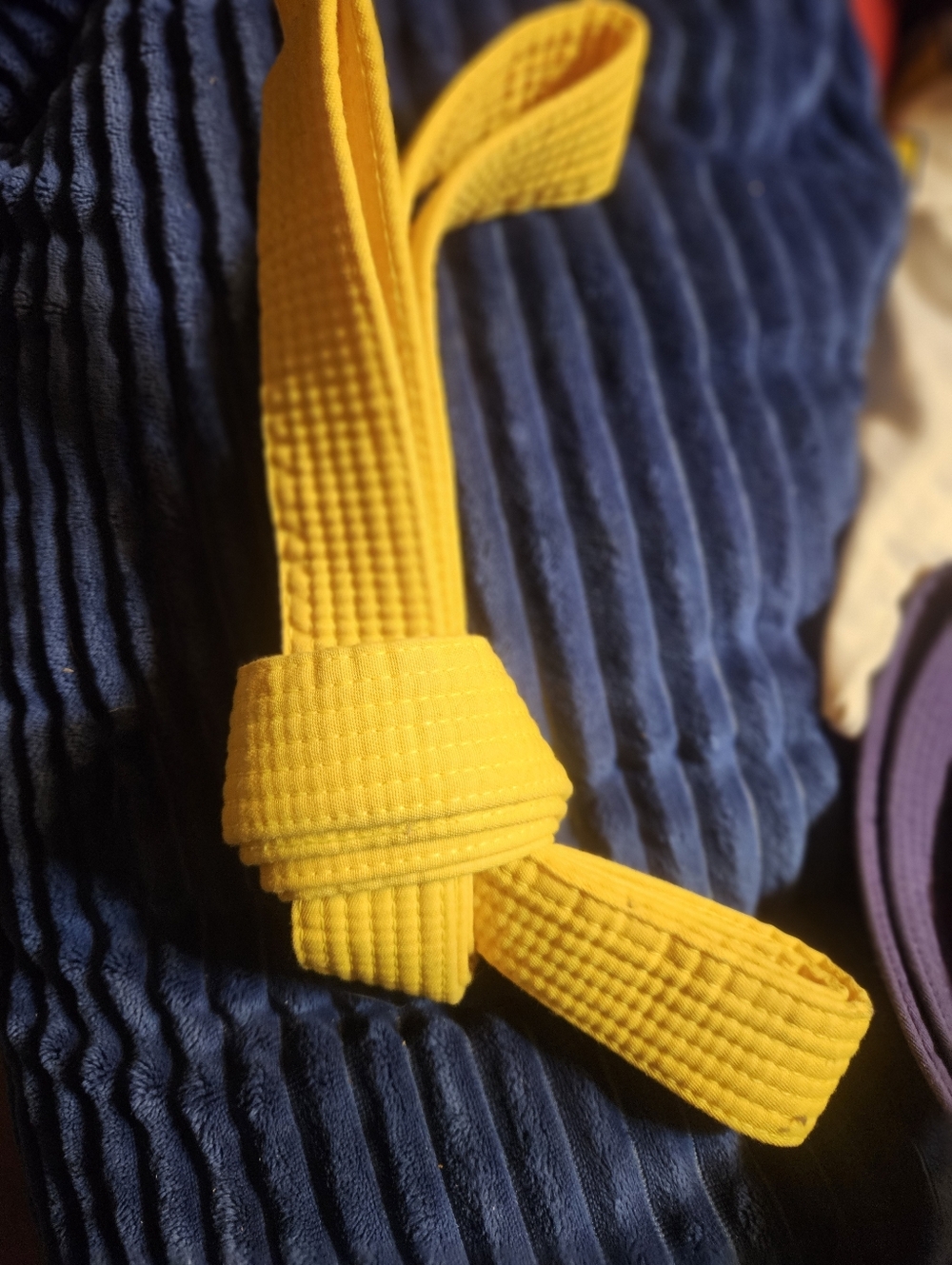 Karate / Taekwondo Belt Estate Item